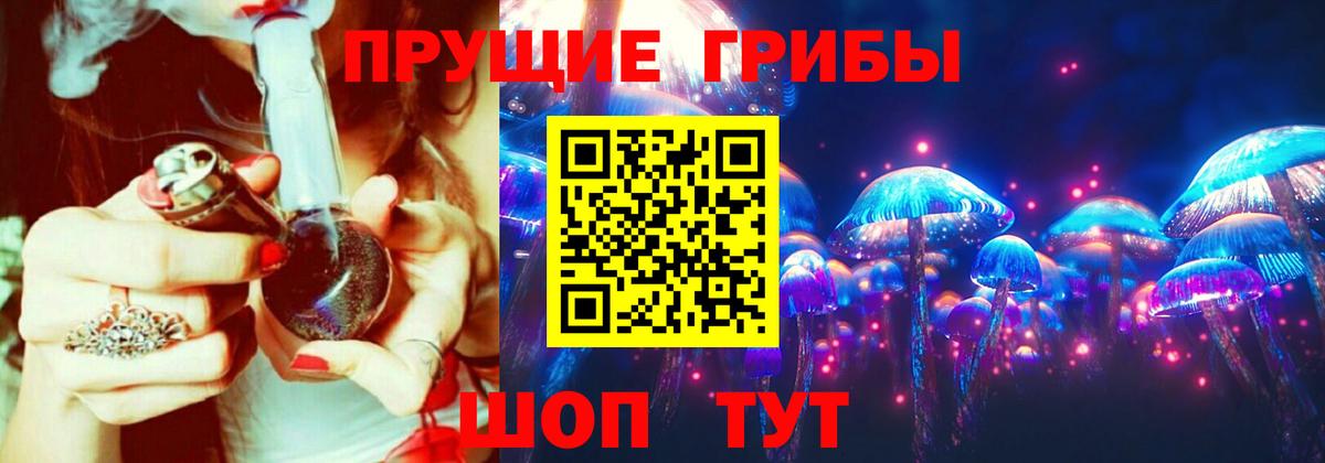 Псилоцибиновые грибы прущие грибы Георгиевск
