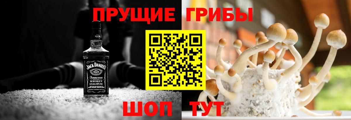 Галлюциногенные грибы Psilocybe  Псилоцибиновые грибы ЛСД  Георгиевск  цены наркотик  Вход с VPN 